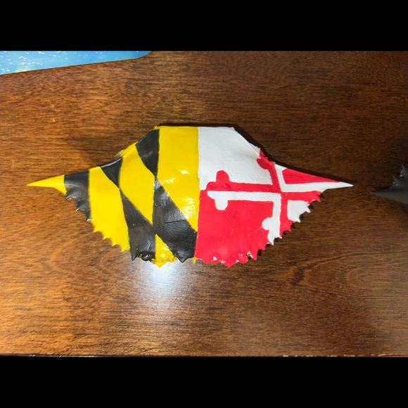 Hand Painted Custom Crab Shells - Picture 3 of 3